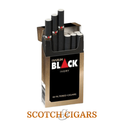 Buy Djarum Filtered Cigars Ivory Black