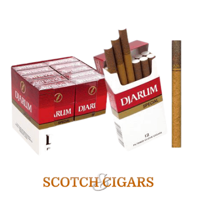 Buy Djarum Filtered Cigars Special