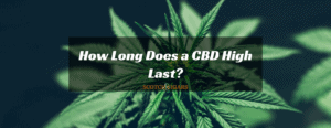 How Long Does a CBD High Last?