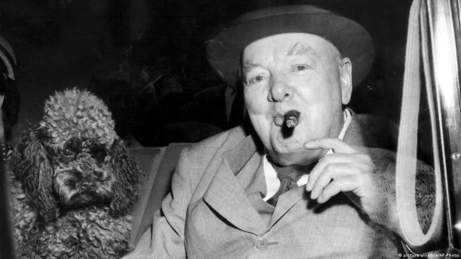 What cigar does Winston Churchill smoke?