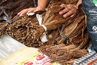 Tobacco for Cigars
