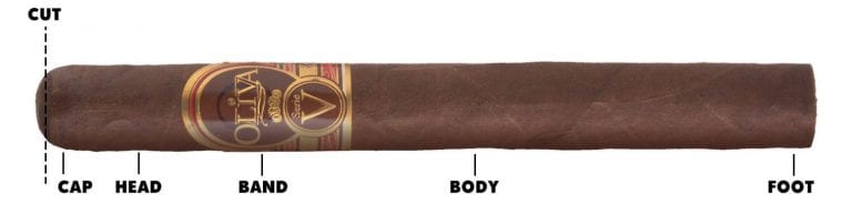 Names of Parts of a Cigar