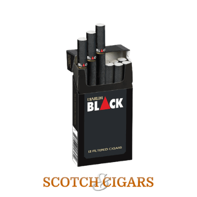 Buy Djarum Filtered Cigars Black