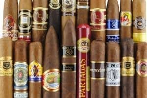top cigar brands