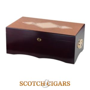 #5 best large cigar