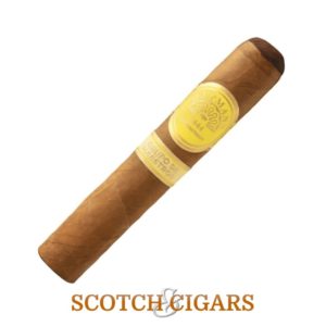#6 best cigar for beginners