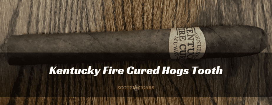 Review of Kentucky Fire Cigar