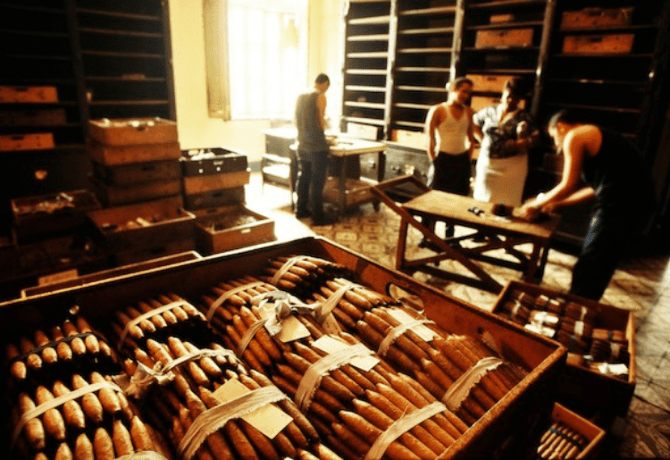 cigar factory