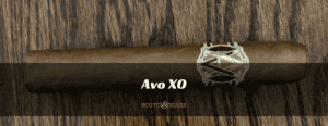 Reveiw of Avo Xo cigar