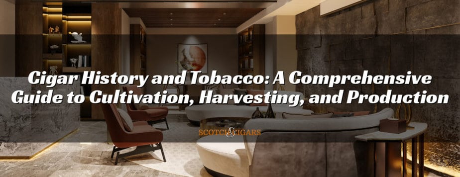 Cigar History and Tobacco: A Comprehensive Guide to Cultivation, Harvesting, and Production