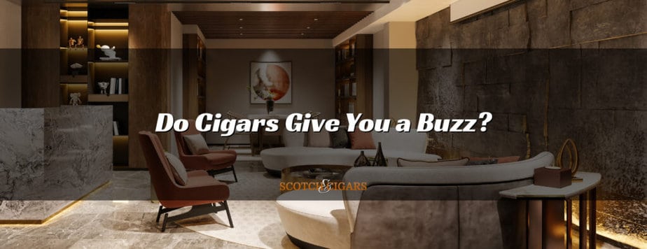 Do Cigars Give You a Buzz?