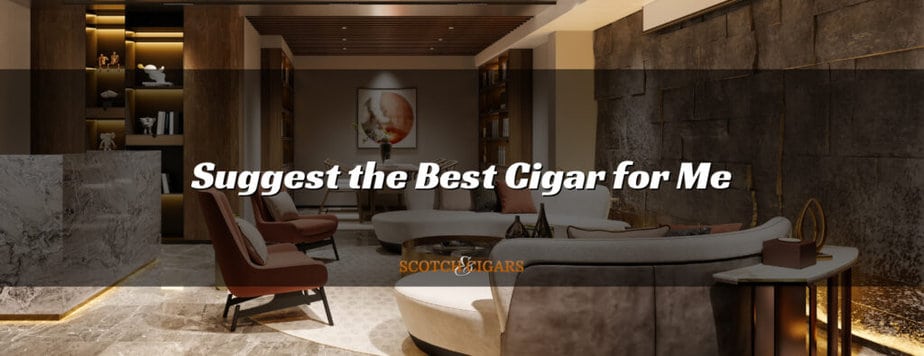 Suggest the Best Cigar for Me